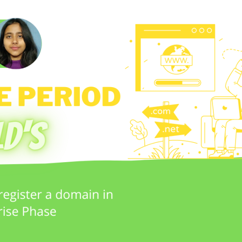 What Is SUNRISE PHASE and How to Register a domain in this phase?